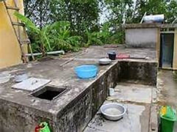 Nằm mê thấy bể nước hoa có ý nghĩa ra sao?